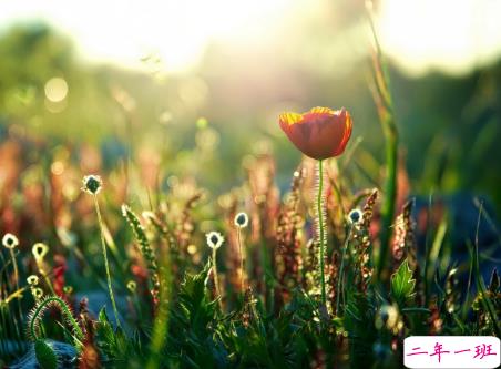 微信朋友圈治愈系早安心语说说 温暖小清新早安说说大全3