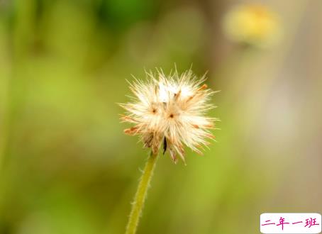 微信朋友圈治愈系早安心语说说 温暖小清新早安说说大全5