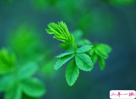 微信朋友圈治愈系早安心语说说 温暖小清新早安说说大全6