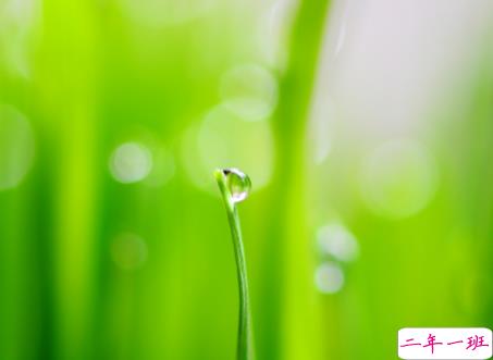 微信朋友圈治愈系早安心语说说 温暖小清新早安说说大全7