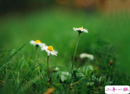 微信朋友圈治愈系早安心语说说 温暖小清新早安说说大全9