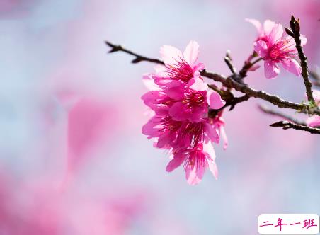 微信朋友圈治愈系早安心语说说 温暖小清新早安说说大全10