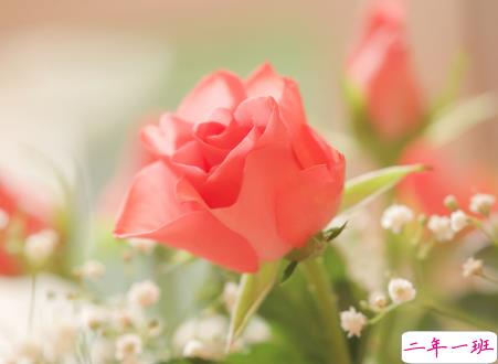 微信朋友圈治愈系早安心语说说 温暖小清新早安说说大全11