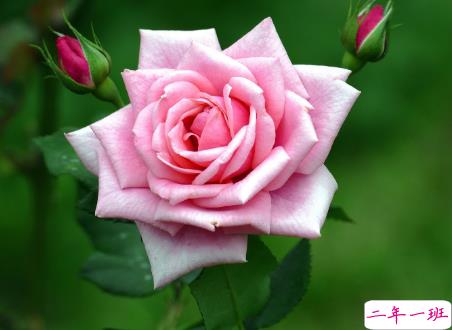 微信朋友圈治愈系早安心语说说 温暖小清新早安说说大全12