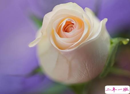 微信朋友圈治愈系早安心语说说 温暖小清新早安说说大全13