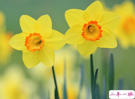 微信朋友圈治愈系早安心语说说 温暖小清新早安说说大全14