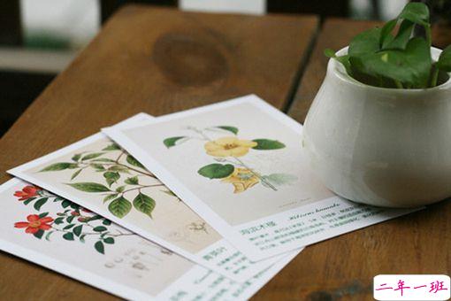 关于现实生活人生的哲理说说带图片 一个人活着应该永远要把目光投向远方3