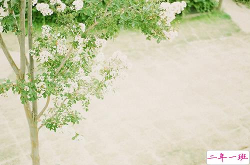 写给步入职场的你的一些经典感悟哲理句子带图片8