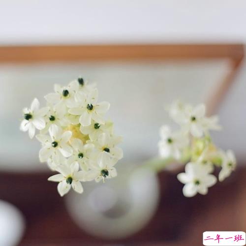 写给步入职场的你的一些经典感悟哲理句子带图片13