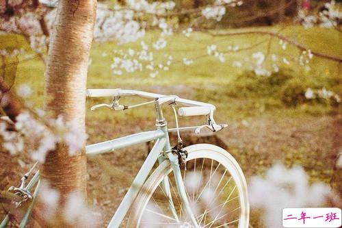 关于现实生活人生的哲理说说带图片 一个人活着应该永远要把目光投向远方14