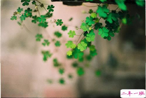 很励志正能量的早安心语说说带图片11