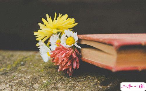 关于爱情的经典精辟说说带图片 人一旦爱了一颗心就能百转千回10