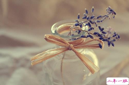 很现实的人生感悟空间说说大全 关于成长和成熟你需要知道的说说10