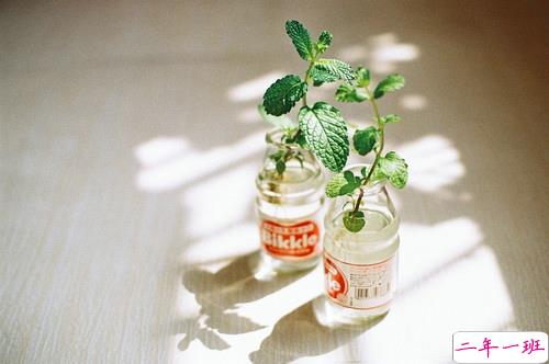 盘点周杰伦那些唱到我们内心深处的歌词带图片9