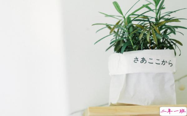 关于人生的超励志正能量图片说说 你优秀了自然有对的人与你并肩5