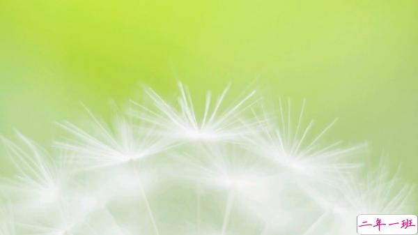 关于人生的超励志正能量图片说说 你优秀了自然有对的人与你并肩7