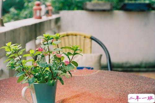 甜蜜温馨温暖的图片说说 想牵着你的手走过余生六十年的四季12