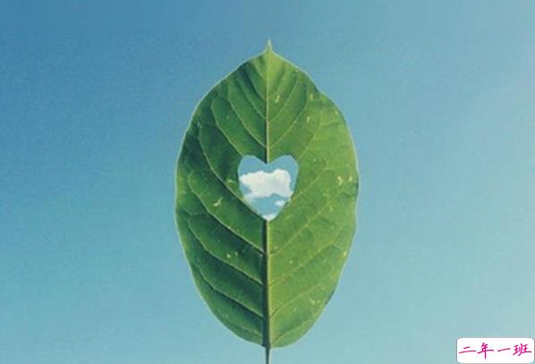 关于人生的超励志正能量图片说说 你优秀了自然有对的人与你并肩10