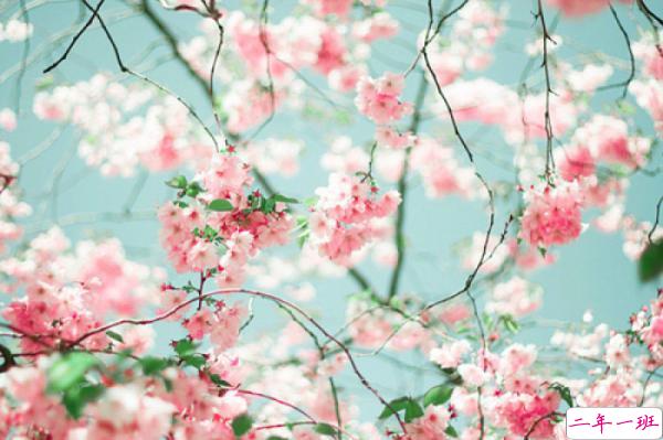 关于人生的超励志正能量图片说说 你优秀了自然有对的人与你并肩13