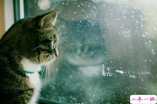 治愈系温暖小清新句子和图片 此生只想同你尝尽烟火1