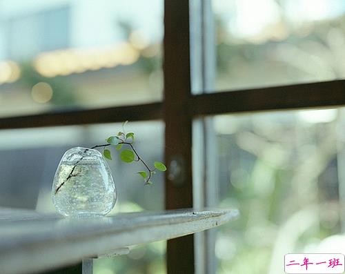 正能量的早安心语写给有点低落沮丧的你的图片说说1