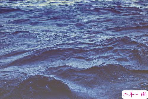 关于读书阅读的哲理精辟有道理的说说带图片4