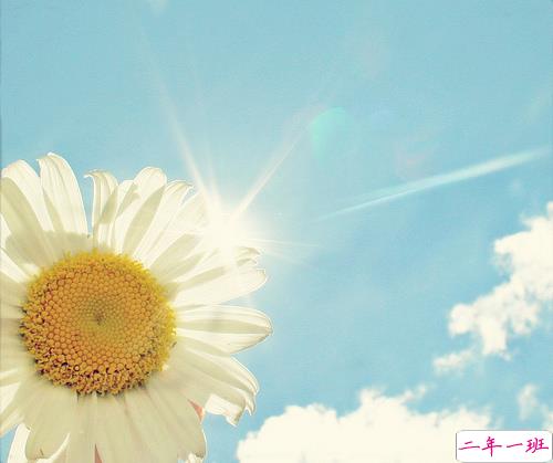 关于读书阅读的哲理精辟有道理的说说带图片9