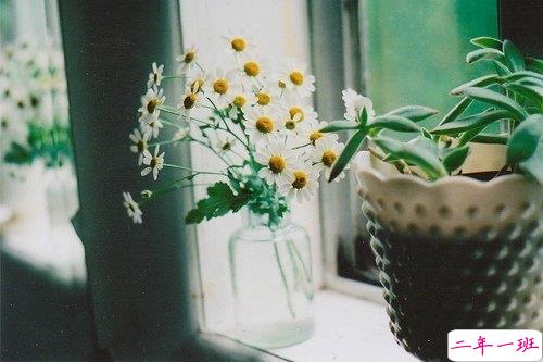 关于青春成长的哲理虽然简单一句话但是很有道理的说说带图片9