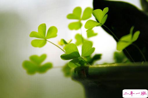 关于读书阅读的哲理精辟有道理的说说带图片12