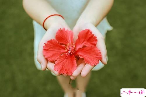 关于成长和青春唯美有道理的句子带图片 每个人都是自己的英雄13