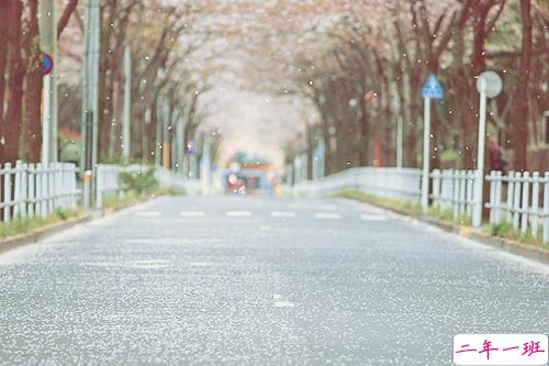 文字控最爱唯美诗意的图片句子 所有的记忆都是潮湿的6