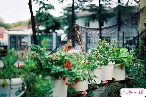 感悟人生的正能量句子带图片 你走过的弯路都是通向正轨的必经之路12