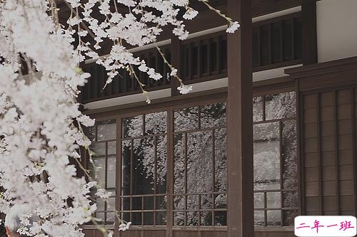 人生很现实经典励志图片说说 人的一生难免有起伏9