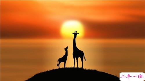 姑娘,我有15句悄悄话说给你听。5