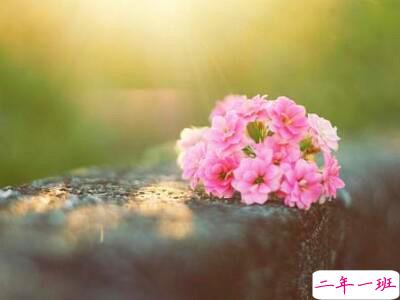 带图片的经典说说1 带图片的经典说说1