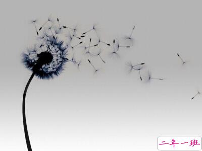 空间经典说说带图片4 空间经典说说带图片4