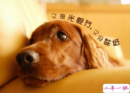 光棍节说说带图片,光棍节图片说说大全2 光棍节说说带图片,光棍节图片说说大全2