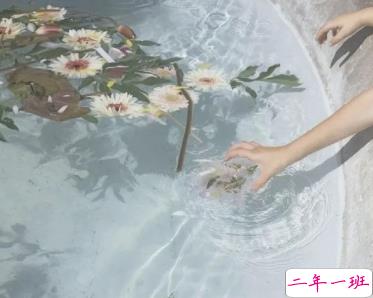 心寒的说说戳心失望 真心感到疲惫的说说配图3