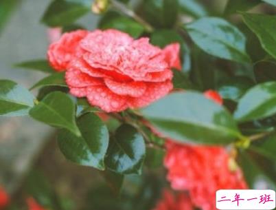 六月微信第一条早安说说 2020迎接6月的早安句子配图2