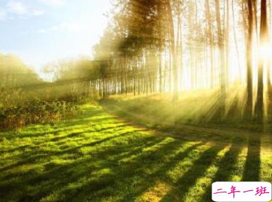 六月微信第一条早安说说 2020迎接6月的早安句子配图8