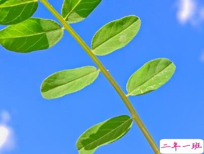 六月微信第一条早安说说 2020迎接6月的早安句子配图10