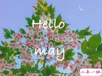 五月你好朋友圈文案带图片 2020年已过去三分之一的说说1