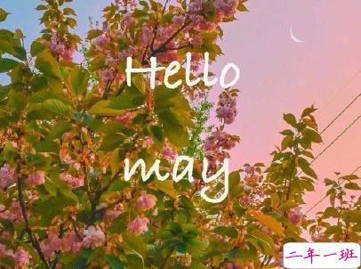五月你好朋友圈文案带图片 2020年已过去三分之一的说说2