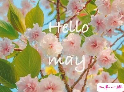 五月你好朋友圈文案带图片 2020年已过去三分之一的说说3