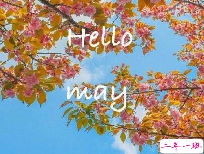 五月你好朋友圈文案带图片 2020年已过去三分之一的说说5