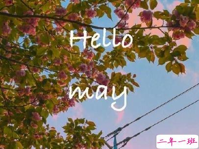 五月你好朋友圈文案带图片 2020年已过去三分之一的说说8