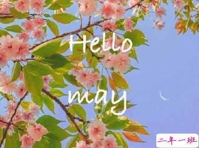 五月你好朋友圈文案带图片 2020年已过去三分之一的说说9