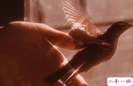 保持清醒和理性的说说 所有不合适的人最终总会分散3