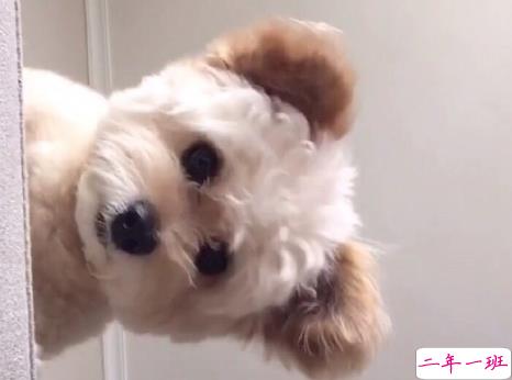 保持清醒和理性的说说 所有不合适的人最终总会分散4