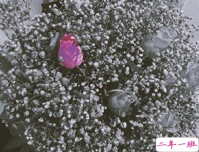 失眠朋友圈文案带图片 四下无人的夜最想听你的晚安2